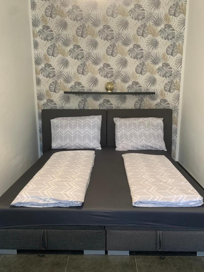 Dora Vendeghaz Apartment เลเตนเย ภายนอก รูปภาพ